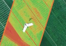 Delair Teams with Phenome to Improve Plant Breeding, Variety Testing with Drones delair