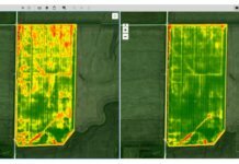 Sony Software Update Boosts Capabilities for Precision Ag